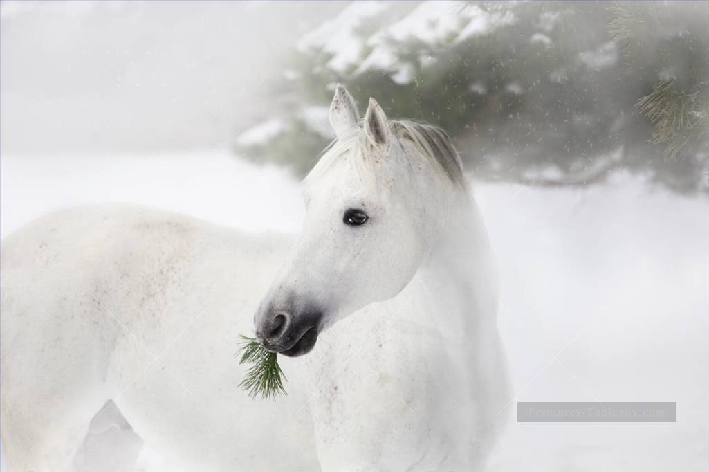 cheval noir et blanc sur les pins et la neige Peintures à l'huile